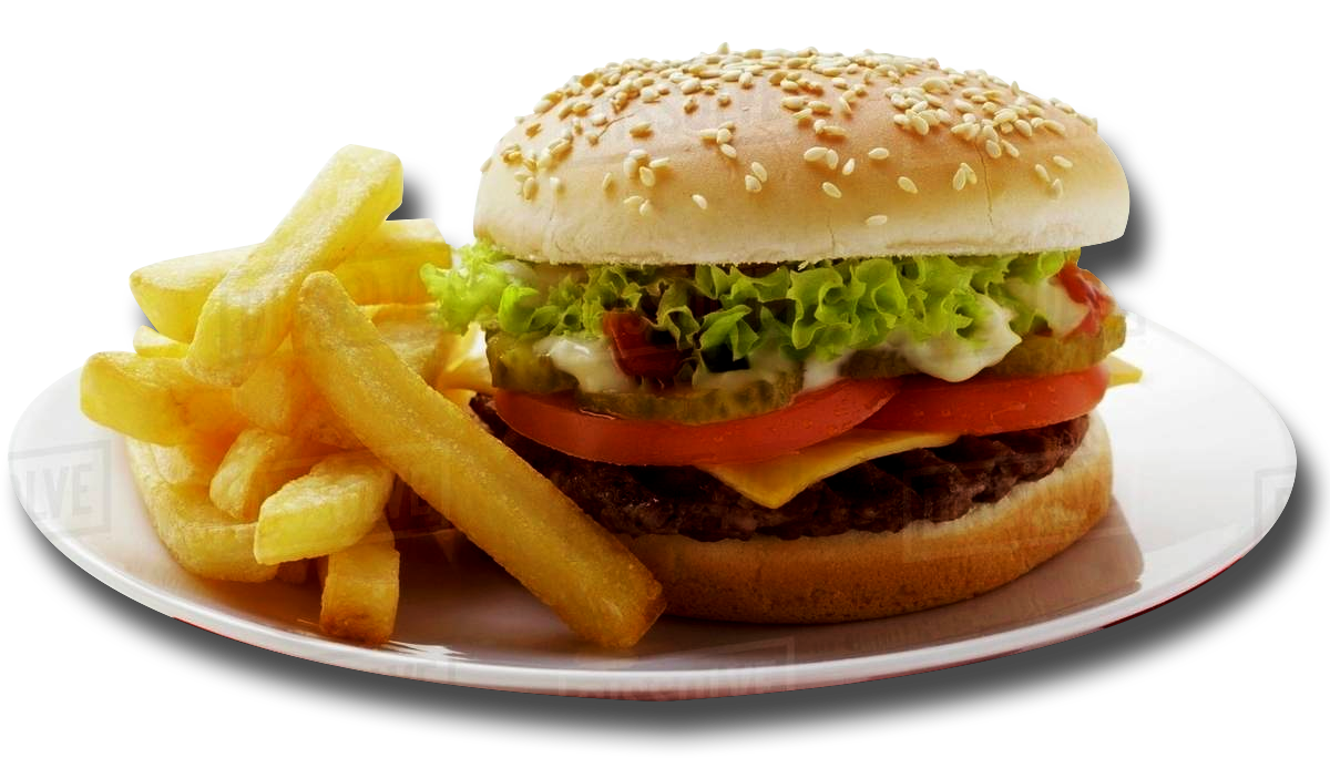 cheeseburger platter 2